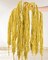 10Pcs Dried Amaranthus Hanging Flowers Garland Rustic Wall Hanging Decor